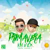 J.d.m & Dr. Lopez - Primavera - Single